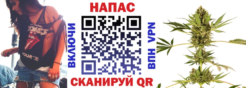 Купить закладку Тимашёвск Галлюциногенные грибы  МАРИХУАНА  MEGA ТОР  Гашиш  Alpha PVP  Меф 