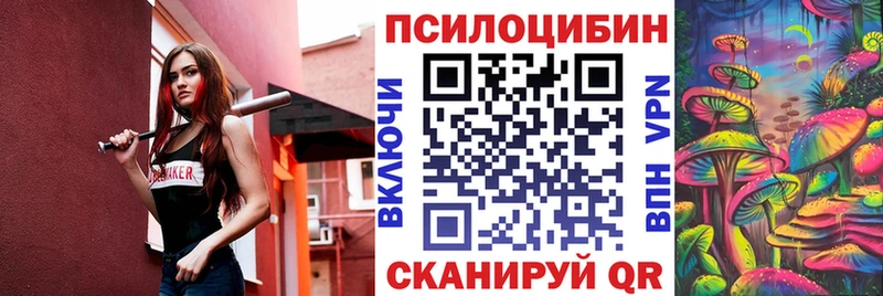 мега   Тимашёвск  Галлюциногенные грибы Psilocybe  сколько стоит 